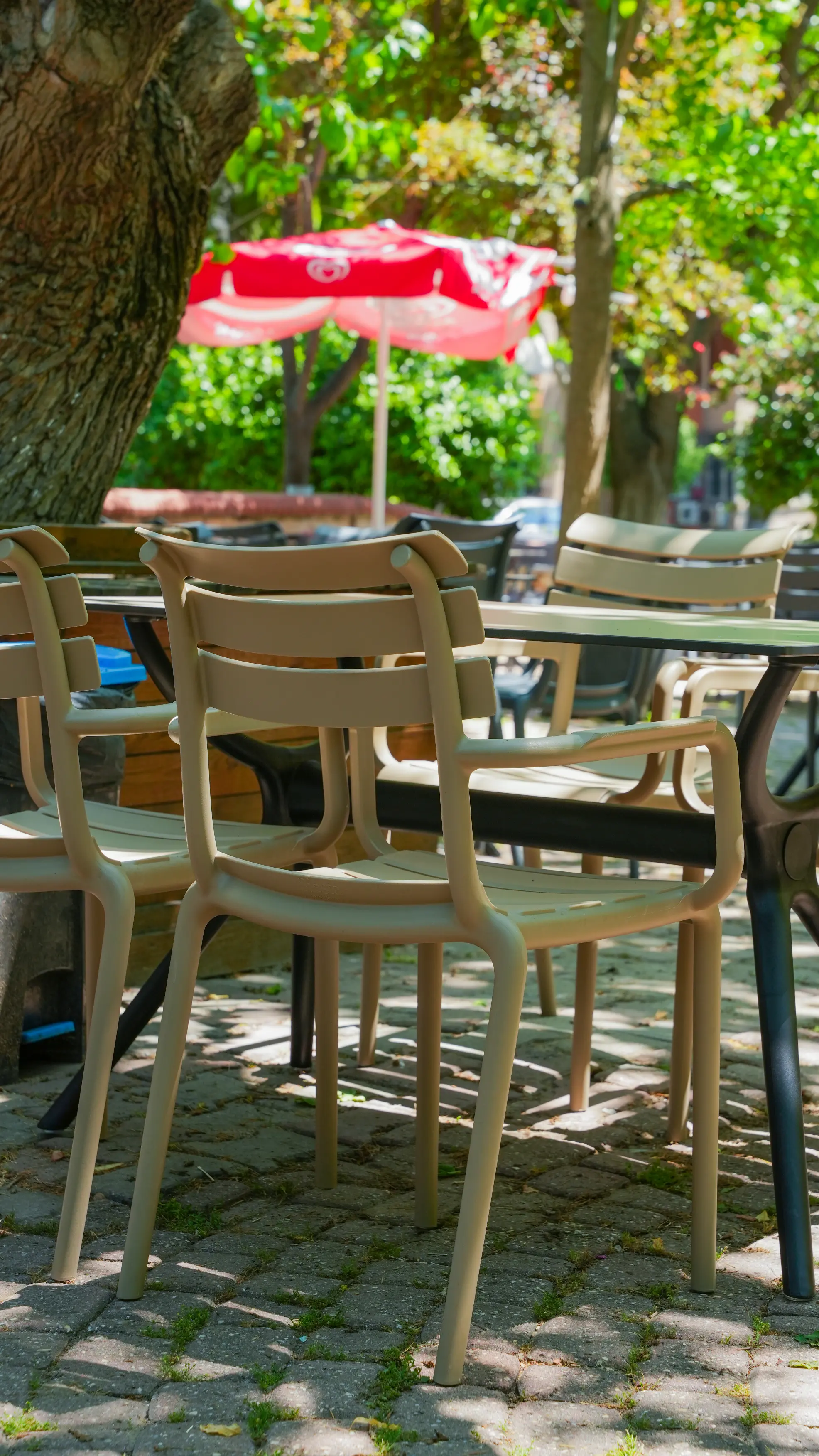 Ataköy Ata Çay Bahçesi Projesi